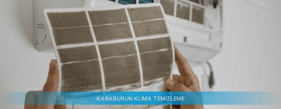 Karaburun İlçemi Altus Klima Temizleme